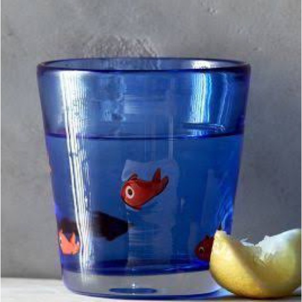 ISO Anthropologie Goldfish Lake Glasses